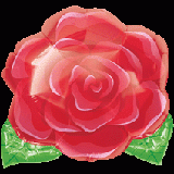 18"玫瑰花(#12021)  240.NTD