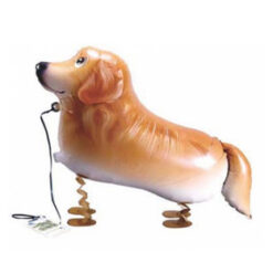 黃金獵犬(922368)  420.NTD