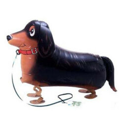 臘腸犬(922436)  420.NTD