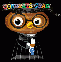 畢業貓頭鷹(6666cm)(15373)  420.NTD