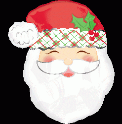 笑瞇瞇聖誕老人(20304)(51X58CM)  560.NTD