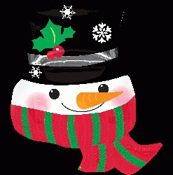 戴帽子雪人(71X71CM)(22782)  560.NTD